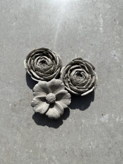 Betongblomma Ranunkel 10 st / låda (Åter Våren 2026)